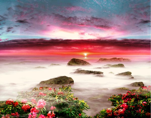 Морской заповедник Саут-Уотер-Кей,