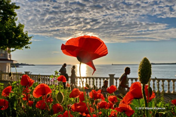 Севастополь лето
