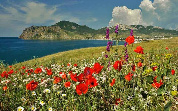 Крымский полуостров Коктебель