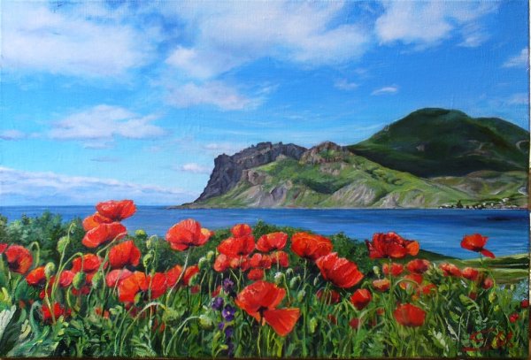 Крым маки цветут