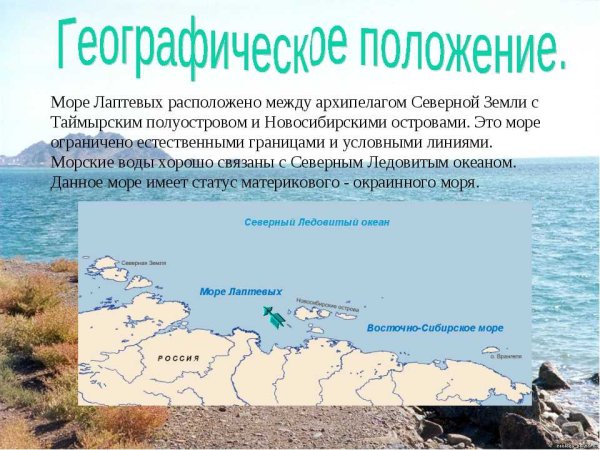 Особенности географического положения Тихого океана 7 класс