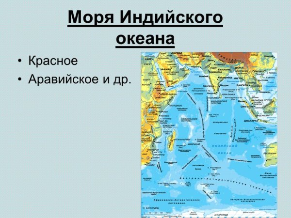 Моря и океаны омывающие Россию на карте
