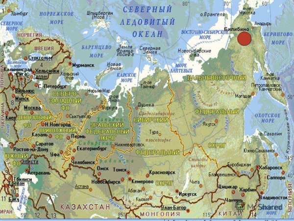 Атлантический океан Саргассово море