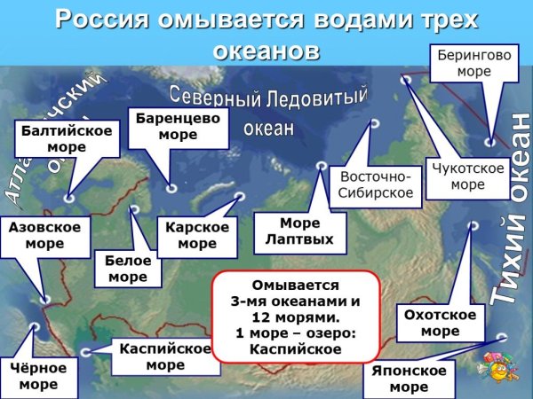 Моря которые омывают материк Евразия
