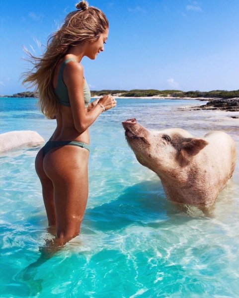 Красивые девушки на пляже