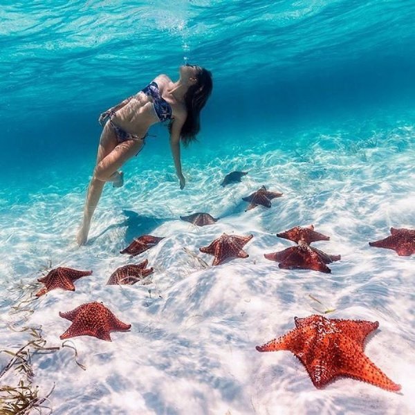 Доминикана Саона морские звезды