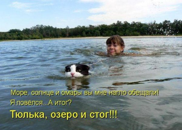 Приколы про купание на море