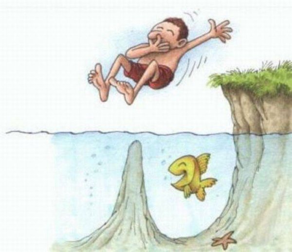 Плавание с касатками