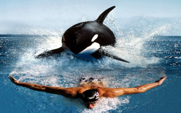 Плавать анимация