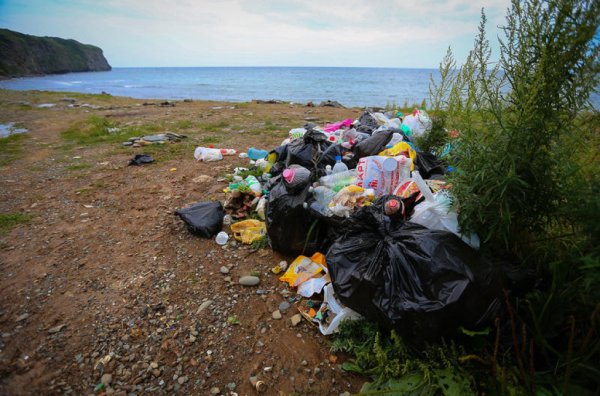 Загрязнение пластиком