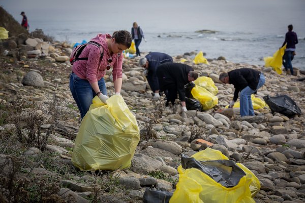Загрязнение пластмассой