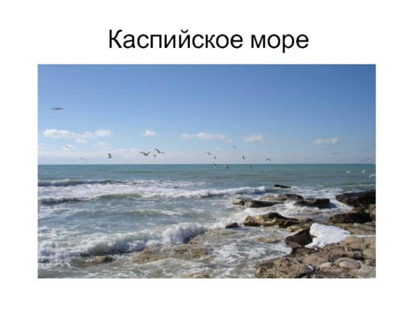Каспийское море картинки для презентации