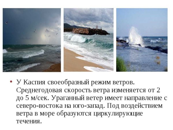 Интересные факты о Каспийском море