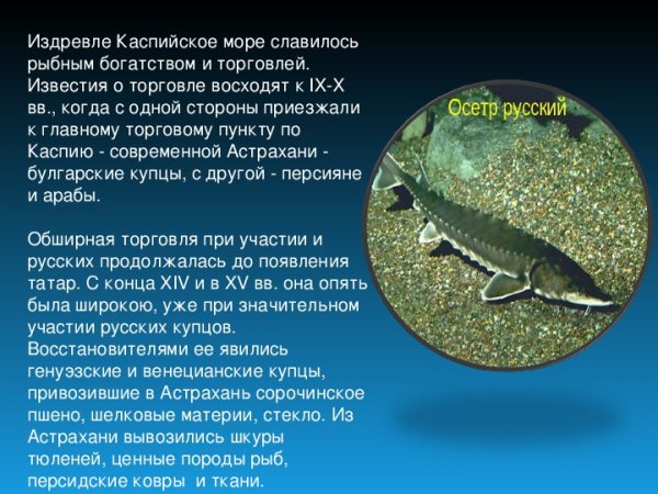 Каспийское море рассказ