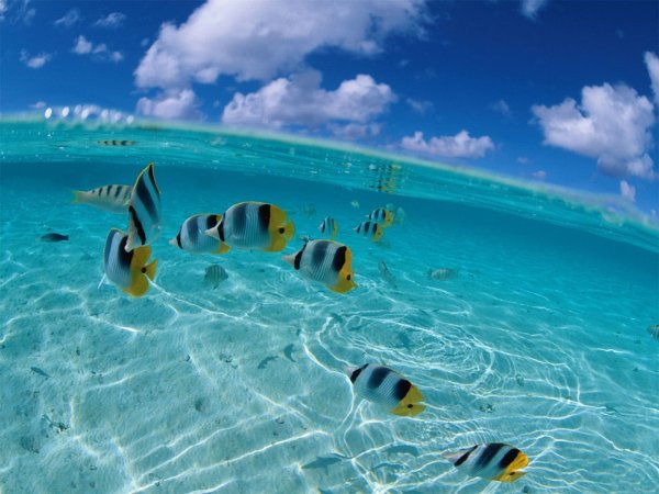 Картина красота моря