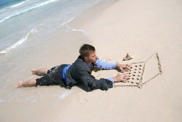 Котик на море