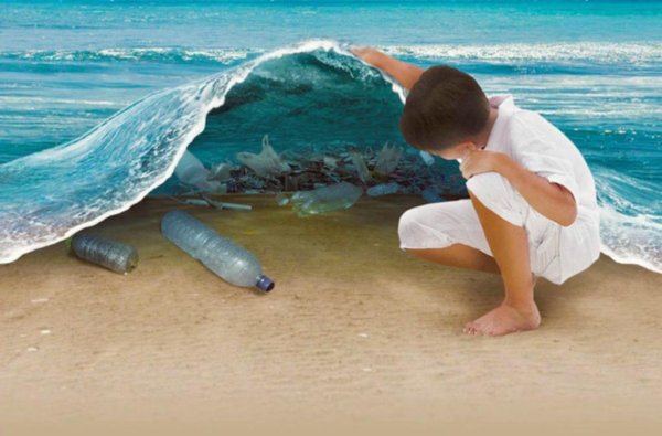 Экология океана