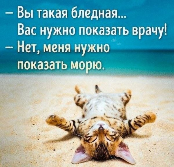 Цитаты про отпуск
