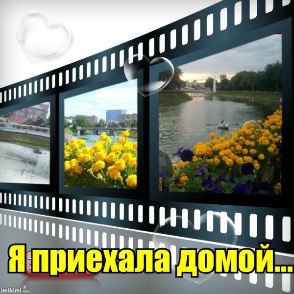 С моря домой