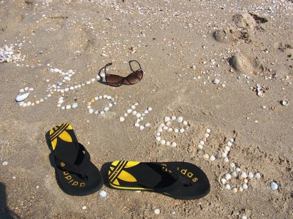 August Wilhelm Nikolaus