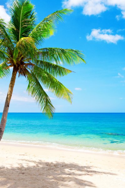 Карибское море