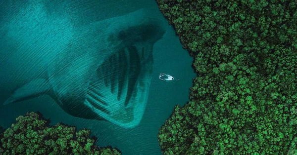 Большая голубая дыра в Карибском море