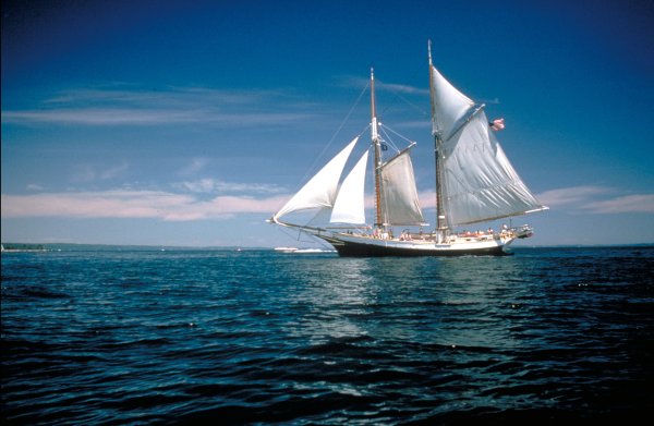 Парусник маленький