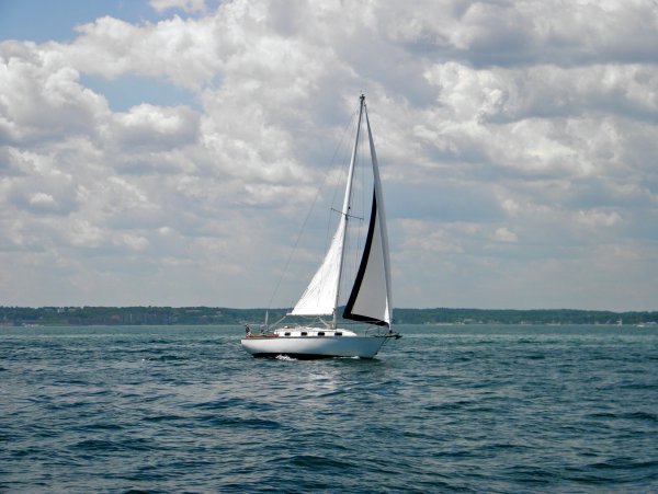 Парусная яхта Финикия