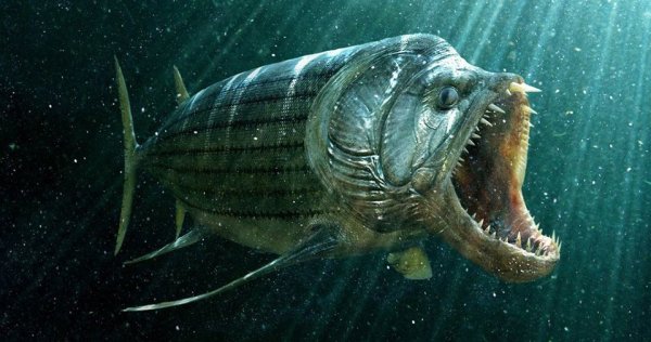 Марианская впадина обитатели чудовища