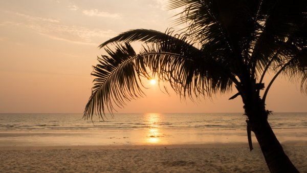 Море солнце пальмы