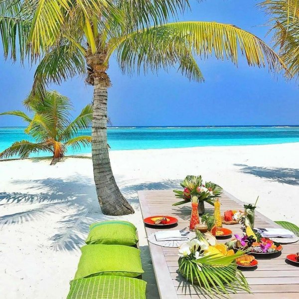 Море волны пальмы