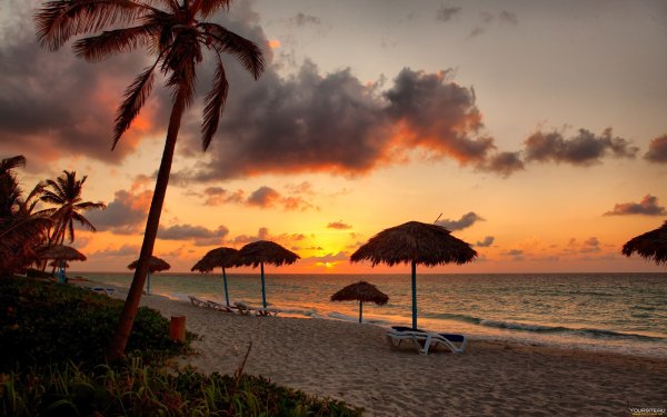 Доминикана Пунта Кана качели