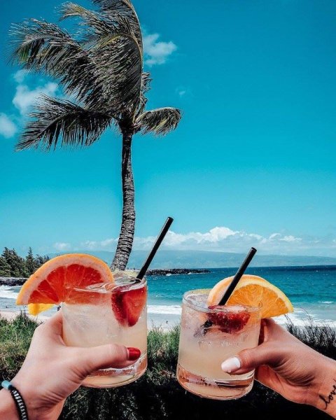 Природа пальмы