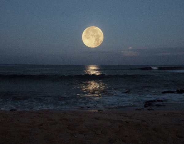 Ночное море