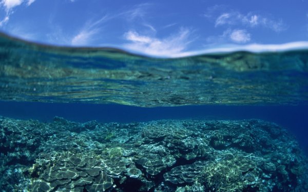 Река море океан