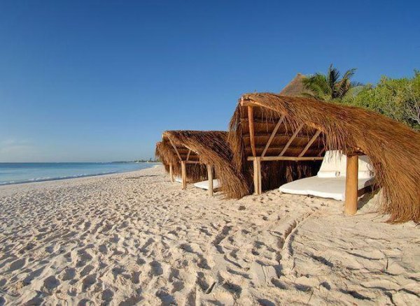 Шалаш на берегу океана