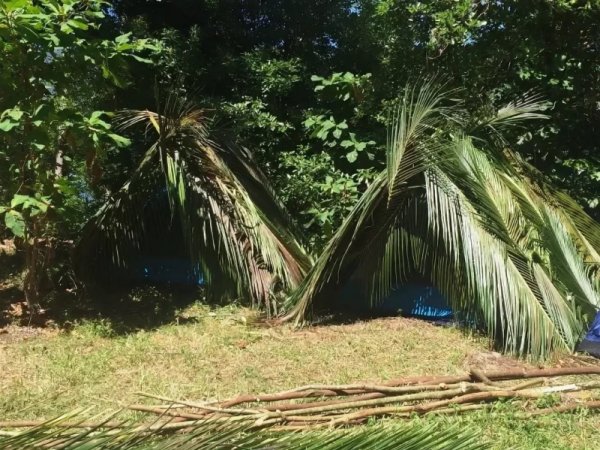 Шалаш на необитаемом острове