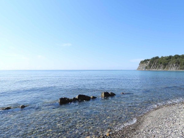 Бетта Краснодарский край мыс Чуговкопас