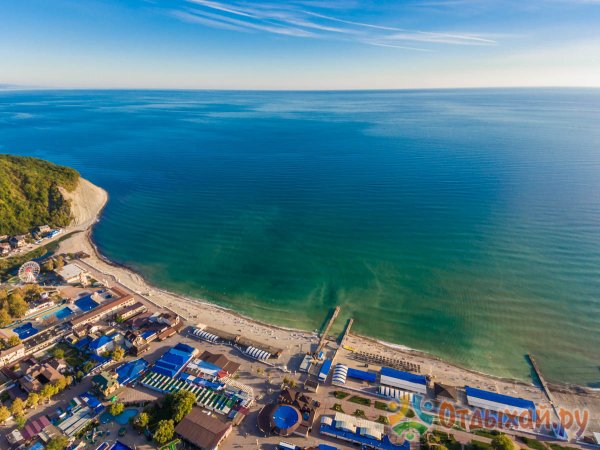 Архиповка тсиповеа