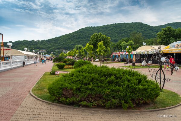 Адлер Архипо-Осиповка Курортный