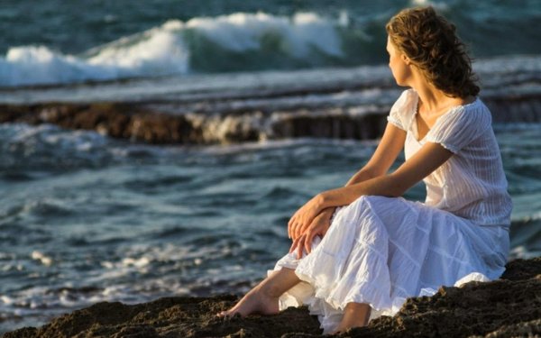 Пес на море