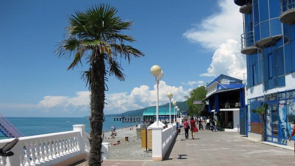 Лазаревское набережная пальмы