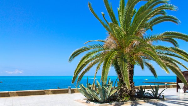 Имеретинская набережная Сочи