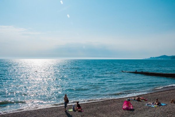 Оазис 3 Сочи