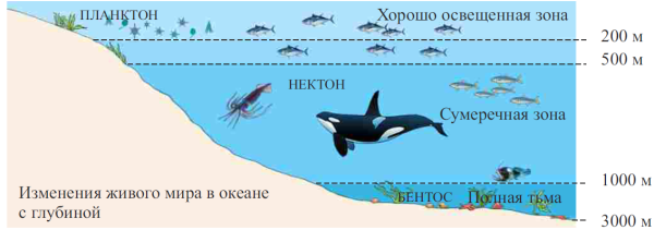 Слои воды в море