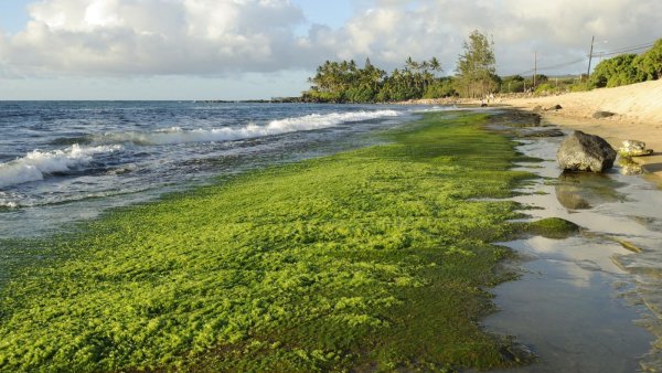 Морские границы