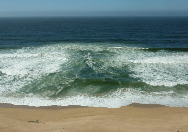 Зона субтропиков в России