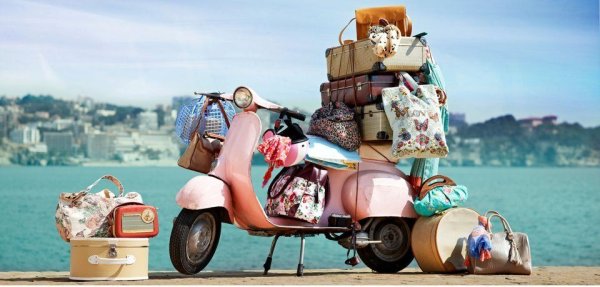 Чемодан для путешествий