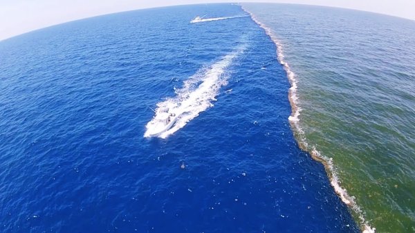 Девушка прощается с морем