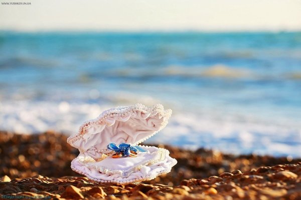 Жемчужина в раковине в море